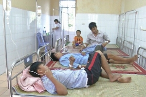 Ăn cá hỏa tiễn, 16 người ngộ độc nhập viện