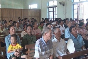 Đẩy nhanh thực hiện dự án chăn nuôi lợn nái