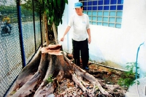 Thủ Đức, TP. HCM: 15 năm khiếu kiện vì đất khai phá bị “quy” thành đất lấn chiếm