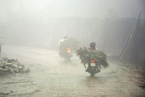 Lý giải nguyên nhân Sa Pa rét giữa mùa hè