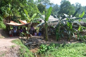 Uẩn khúc vụ bé trai 22 tháng tuổi chết tại bệnh viện vì điều trị Amidan