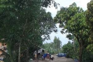 Dùng chĩa đâm con trai nguy kịch rồi uống thuốc sâu tự tử