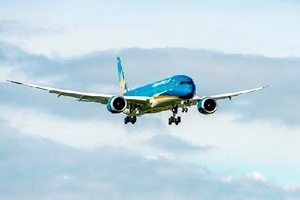 Vợ chồng Lệ Quyên bị phạt 8 triệu đồng vì cho con đi tiểu vào túi nôn