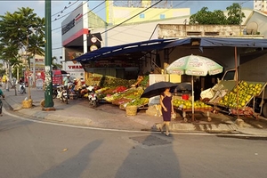 Đừng để mất diện mạo con đường đẹp nhất thành phố mang tên Bác