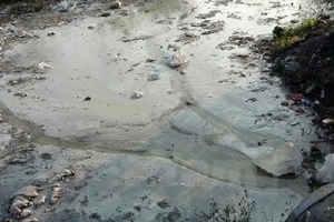 Cà Mau: Ô nhiễm nghiêm trọng tại khu vực cửa biển Sông Đốc