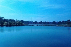 Phú Thọ: Cho cá ăn, phát hiện thi thể người