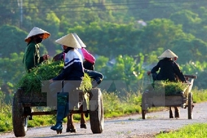 Việt Nam cần 30 tỷ USD để thực hiện Chiến lược tăng trưởng xanh