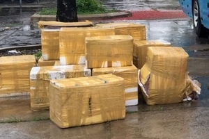 Xe khách vận chuyển 900kg nội tạng động vật thối