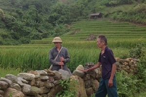 “Thần nông" trên đỉnh trời