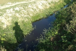 Hà Tĩnh: Trang trại gây ô nhiễm, người dân “bịt mũi kêu cứu”