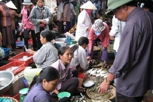 Bất lực với thực phẩm “bẩn” đến bao giờ?