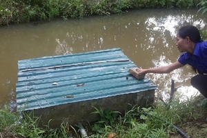 Hà Tĩnh: Dân khát nước sạch giữa lòng thị trấn