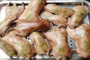 Đặc sản chuột đồng và những ẩn họa khôn lường