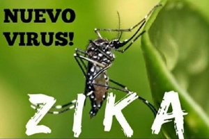 Phòng chống dịch bệnh do virus Zika