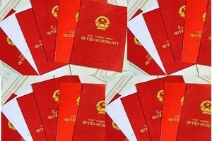 Nữ chuyên viên tiếp dân lừa cấp số đỏ chiếm đoạt gần 900 triệu đồng