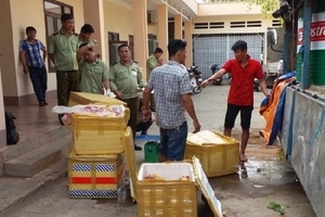 Đắk Lắk: Phát hiện xe tải chở hơn 700kg thịt động vật hôi thối