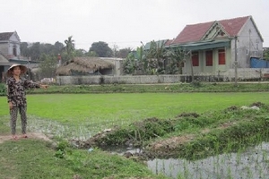 Trang trại lợn gây ô nhiễm, dân "bịt mũi" kêu cứu!