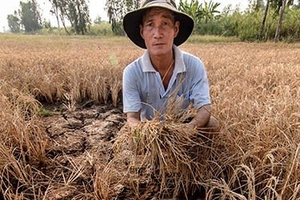 Liên Hợp Quốc sẵn sàng giúp Việt Nam chống hạn, mặn lịch sử