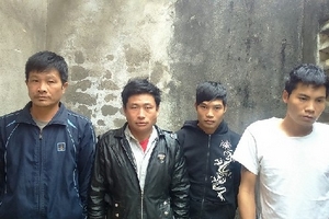 Bắt trộm 6 con trâu của hàng xóm mang bán