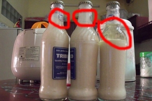 Hoang mang sữa đậu nành Tribeco vón cục, váng mốc như 'cơm bữa'