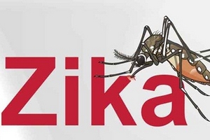 Phòng chống muỗi để phòng tránh vi rút Zika