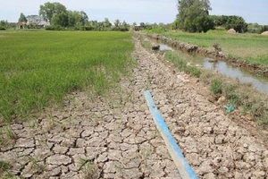 Tháng 4, khô hạn ở ĐBSCL dự báo đặc biệt nguy hiểm