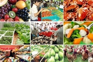 Phạt 20 công ty vi phạm về an toàn thực phẩm