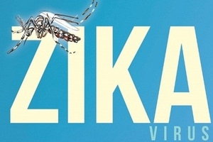 Cần phòng tránh muỗi đốt triệt để