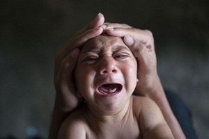 Hà Nội tập trung phòng, chống virus Zika