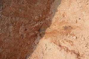 Đi đào huyệt phát hiện bom