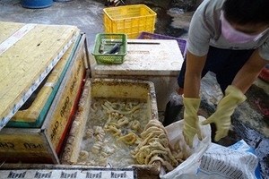 Bắt quả tang cơ sở ngâm 500 kg nội tạng bò bằng hóa chất