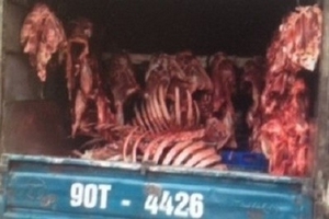 CSGT bắt liên tiếp hàng tấn thực phẩm bẩn trong vòng 3 giờ