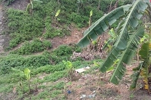 Vụ trọng án ở Hà Nội: Triệu tập nhiều đối tượng liên quan