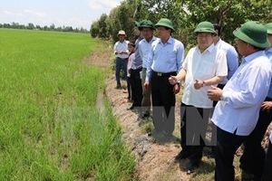 Bằng mọi cách không để dân vùng hạn mặn thiếu nước sinh hoạt