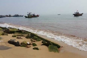 Quảng Bình: Xuất hiện nước biển màu đỏ, cá vẫn tiếp tục chết dạt vào bờ