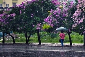 Ngày mai, không khí lạnh tràn xuống miền Bắc