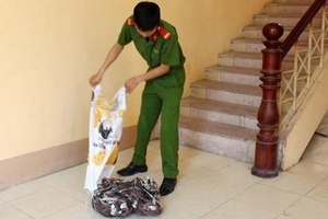 Trộm cáp viễn thông đốt lấy đồng bán