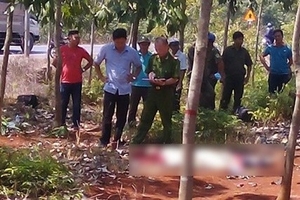 Bắt nghi can sát hại nam thanh niên trong rừng cao su