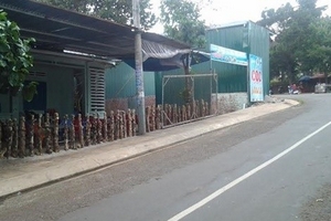 Mâu thuẫn trên bàn nhậu, nam thanh niên dùng dao đâm chết bạn