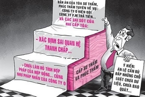 Án lệ là bước tiến lớn  trong cải cách tư pháp…