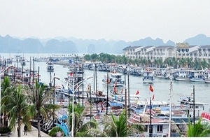 Thêm một tàu du lịch neo đậu tại Cảng Quốc tế Tuần Châu bị chìm tại chỗ