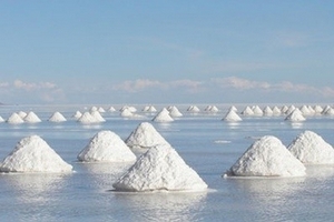 Công bố kết quả phân tích chỉ tiêu kim loại nặng trong muối