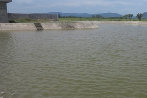 Một ngày có 5 học sinh tử vong do đuối nước