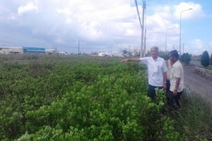 Khi nào 7 hộ dân ấp Gò Cát mới được tái định cư?