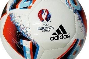 EURO 2016: Người bạn mới của các cầu thủ