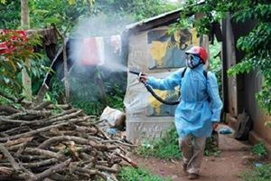 Hà Nội: 50.000 hộ dân được phun hóa chất diệt muỗi