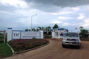 Vẫn nhức nhối môi trường ở trang trại bò TH Nghệ An