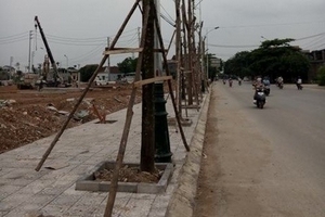 Thái Nguyên: Khu phố Châu Âu trồng cây lấn hè đường?