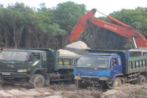 Quan Lạn- Quảng Ninh: Doanh nghiệp phá rừng để khai thác cát, chính quyền dửng dưng?