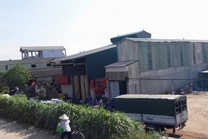 Hoài Đức (Hà Nội): Hàng loạt công trình xây dựng trái phép trên đất nông nghiệp